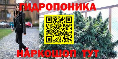 ешки Лесосибирск
