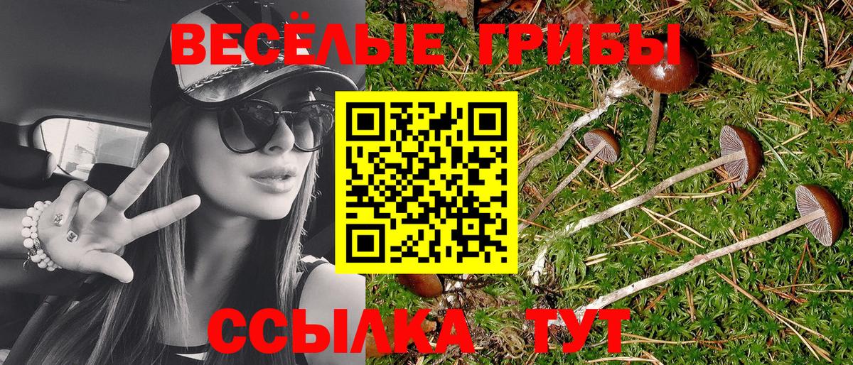 Губкин  Галлюциногенные грибы ЛСД  Вход с VPN 