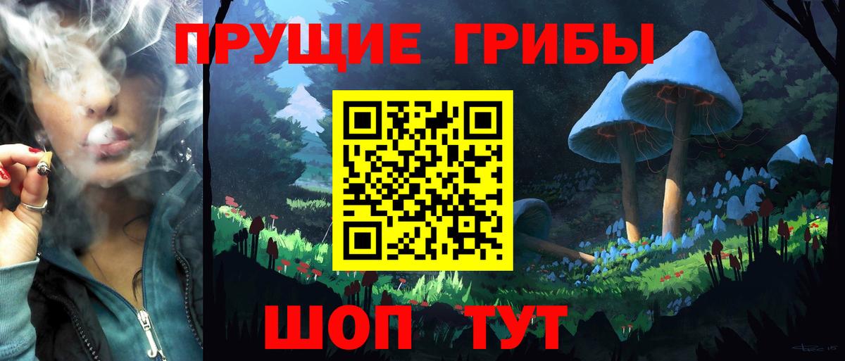 Псилоцибиновые грибы GOLDEN TEACHER Губкин